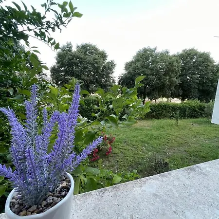 아파트 Owl - Modern Spacious For 4 - 5min To Centar *