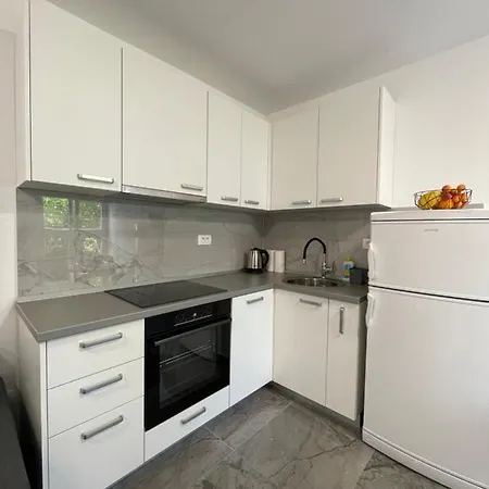 Owl - Modern Spacious For 4 - 5min To Centar 公寓